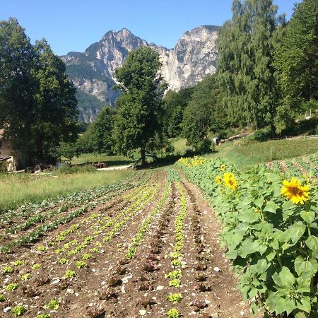 Bauernhof Hof Unternberg Διαμέρισμα Magre all' Adige Εξωτερικό φωτογραφία