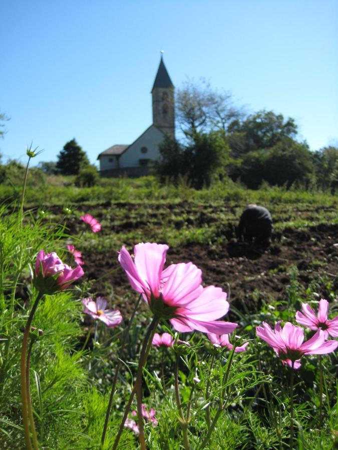 Bauernhof Hof Unternberg Διαμέρισμα Magre all' Adige Εξωτερικό φωτογραφία
