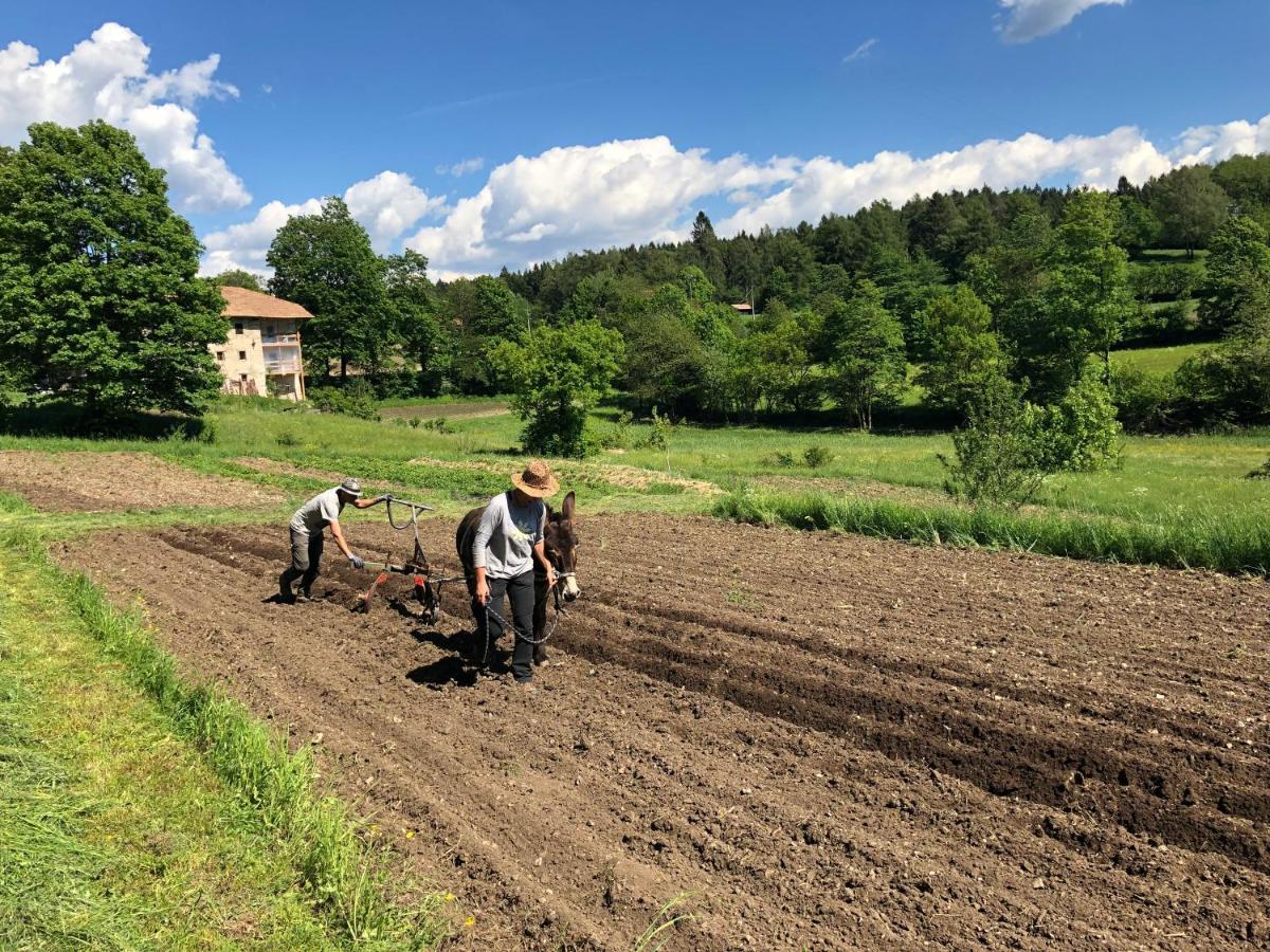 Bauernhof Hof Unternberg Διαμέρισμα Magre all' Adige Εξωτερικό φωτογραφία